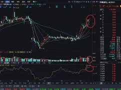 爱游戏官网-bqxscbl复制